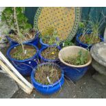 Eight assorted blue glazed planters and pots