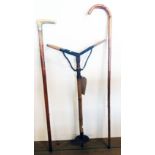 A horn handled malacca walking cane and another- sold with a vintage shooting stick