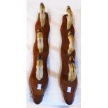 A pair of wall mounted stuffed and mounted deer hoof gun racks