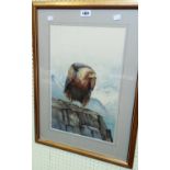 A pair of gilt framed 19th Century watercolour studies of birds of prey seated on rocky outcrops -