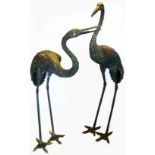 A pair of life size late Meiji period Japanese bronze sculptures of cranes, the taller 62" high