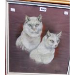 Majorie Cox: a framed mixed media study of two white cats "Fluffy & Snowy" 1976