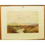 †John White R.I.: a gilt framed watercolour, depicting Dartmoor ponies on the high moor with a