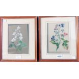 E.R. Grimaldi: two small framed mixed media botanical studies