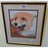 John Hughes: a framed mixed media study of a fox's head