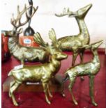 Four various brass stags