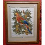 A maple framed limited edition coloured print, depicting a perching macaw and butterflies - 2/100