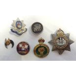 A collection of badges including Devonshire Regiment, Womens' Land Army, etc.