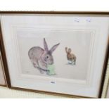 P. Shepperson: a framed fine art colour print of rabbits, with FATG blind stamp - signed in pencil