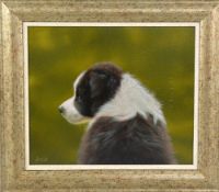 JOHN SILVER, 'FINBURY', an original oil on board of a Puppy, signed and dated in a contemporary