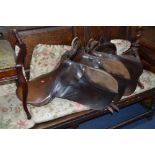 THREE VARIOUS LEATHER SADDLES, including two Lewing of Knowle saddles (sd)