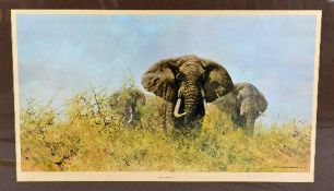 AFTER DAVID SHEPHERD, 'THREE HAPPY JUMBOS', a limited edition print 1/850, signed in pencil with