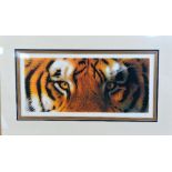 AFTER JOHN MOULD, 'EYE OF THE TIGER', a limited edition print 40/195, signed and numbered in pencil,