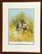 AFTER DAVID SHEPHERD, 'ZEBRA MOTHER AND FOAL, ETOSHA', a limited edition print, 69/850, signed and