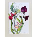 MAUREEN RIBBONS, 'SWEET PEAS', a pen and watercolour painting, signed by the artist, mounted and
