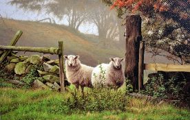 PAUL JAMES, a limited edition box canvas print of sheep in a field, 82/95, signed and numbered in
