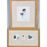 MAUREEN RIBBINS, 'FLORA AND FAUNA', four pen and ink drawings mounted in two frames, all