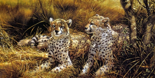 MICHAEL JACKSON, 'CHEETAHS', a limited edition print 69/95, signed and numbered in pencil, with
