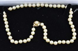 A PEARL NECKLACE, with a 14ct clasp