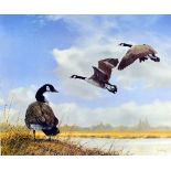 SPENCER HODGE, 'CANADA GEESE', a limited edition print 380/950, signed and numbered in pencil,