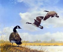 SPENCER HODGE, 'CANADA GEESE', a limited edition print 380/950, signed and numbered in pencil,