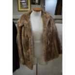 A SHORT BROWN FUR JACKET, with 'Faulkes Edgbaston' label