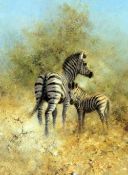 DAVID SHEPHERED OBE FRSA, 'ZEBRA MOTHER AND FOAL, ETOSHA', signed and numbered in pencil, with