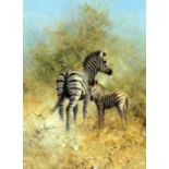 DAVID SHEPHERED OBE FRSA, 'ZEBRA MOTHER AND FOAL, ETOSHA', signed and numbered in pencil, with