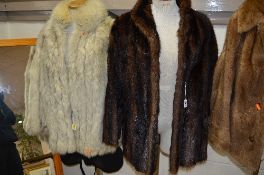 TWO SHORT FUR JACKETS, brown which is quite stiff and a white fox fur which has stained lining (2)