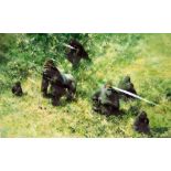 DAVID SHEPHERD, 'LOWLAND GORILLAS', a limited edition print 262/350, signed, titled and numbered