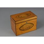 A GEORGE III SATINWOOD TEA CADDY, of rectangular form, inlaid shell paterae to lid and font, lacks