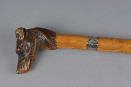 A VICTORIAN MALACCA WALKING STICK, carved dog's head handle, black eyes, the stick with white