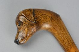 A 20TH CENTURY WALKING STICK, the handle carved as a dog's head with glass eyes, length