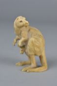 A LATE 19TH CENTURY CARVED IVORY FIGURE OF A KANGAROO, with joey in its pouch, lacks ears, bears