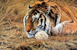 ALAN HUNT, 'EVER ALERT', a limited edition print 935/950, signed in pencil, with certificate, some