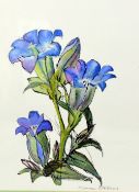 MAUREEN RIBBONS, 'FLOWERS', a watercolour painting, signed by the artist, mounted and framed,
