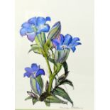 MAUREEN RIBBONS, 'FLOWERS', a watercolour painting, signed by the artist, mounted and framed,