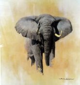 DAVID SHEPHERD, 'AFRICAN BULL ELEPHANT', a limited edition print 511/850, signed and numbered in