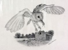 STEVE MACHIN, 'BARN OWL', a pencil drawing signed by the artist, mounted, unframed, approximate size