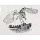 STEVE MACHIN, 'BARN OWL', a pencil drawing signed by the artist, mounted, unframed, approximate size