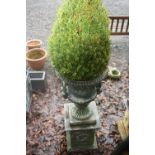 A CAST IRON CAMPANA URNS, on square column base planted with bush, standing 109cm high, 45cm