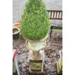 A CAST IRON CAMPANA URNS, on square column base planted with bush, standing 109cm high, 45cm