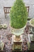 A CAST IRON CAMPANA URN, on square column base planted with bush, standing 109cm high, 45cm diameter