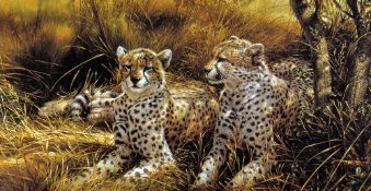 MICHAEL JACKSON (BRITISH 1961), 'Cheetahs', a limited edition print 68/95, signed and numbered in