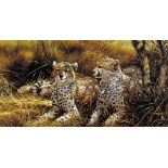 MICHAEL JACKSON (BRITISH 1961), 'Cheetahs', a limited edition print 68/95, signed and numbered in