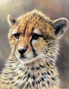 IAN NATHAN (BRITISH 1954), 'Cheetah Cub' a limited edition print 588/600, signed and numbered in