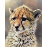 IAN NATHAN (BRITISH 1954), 'Cheetah Cub' a limited edition print 588/600, signed and numbered in