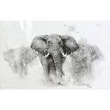 DAVID SHEPHERD O.B.E.FRSA (BRITISH 1931-2017) 'Elephants - Pencil Drawing', a limited edition