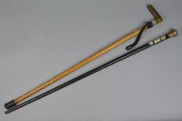 A SILVER TOPPED CANE, and another stick