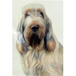 NIGEL HEMMING (BRITISH, 20TH CENTURY) 'White and Orange Italian Spinone' a limited edition print